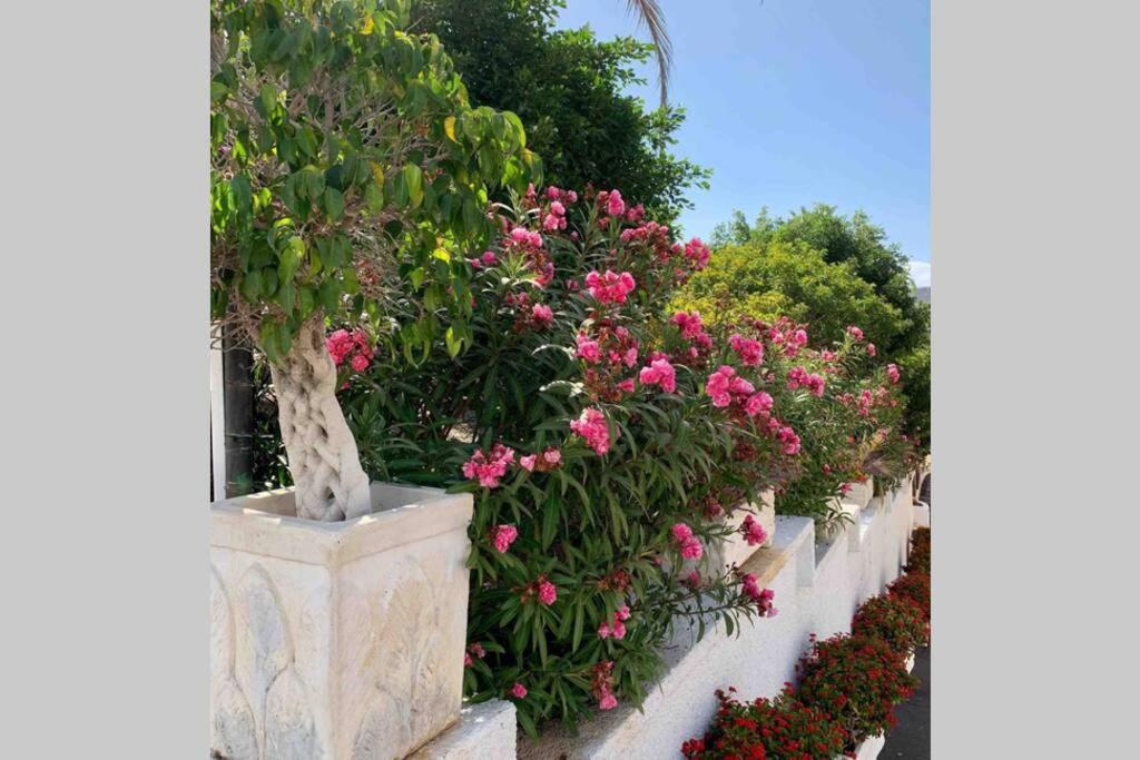 Guayero, Bel Appartement A 50M De La Mer Los Cristianos  Exterior photo